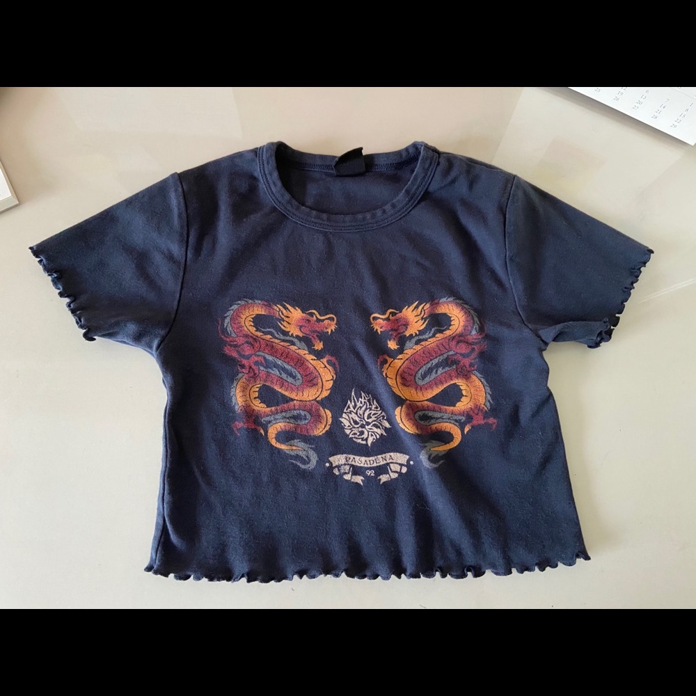 URBAN OUTFITTERS cropped tee shirt